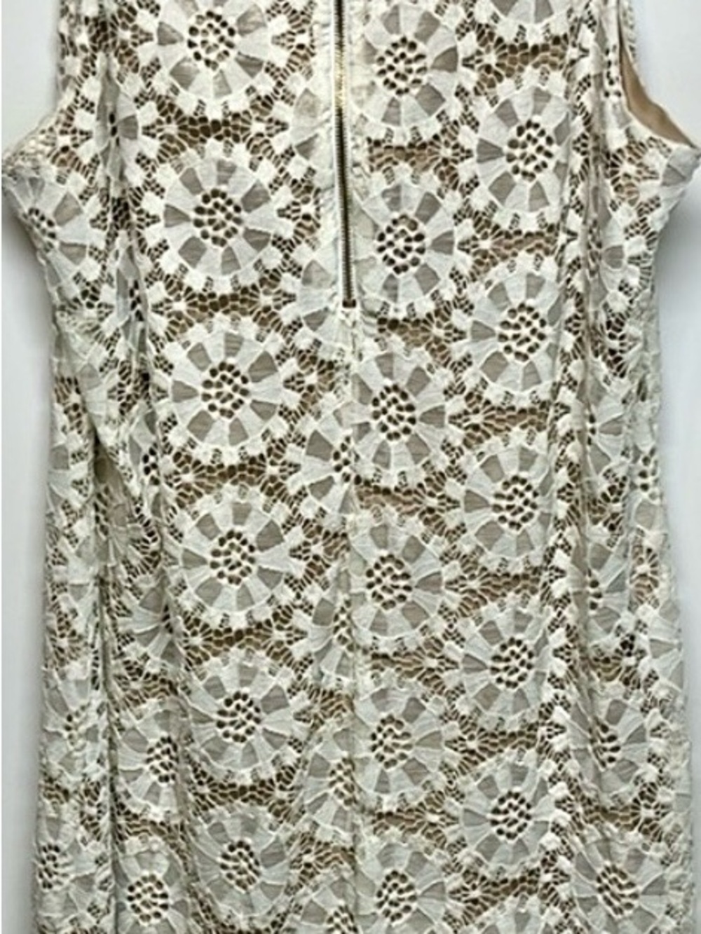 Ronni Nicole Lace Overlay Dress Cream Tan Sleeveless Sheath Timeless Formal - Picture 9 of 10